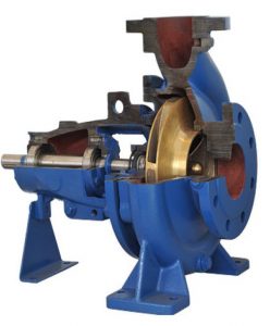 Water Pump supplier
